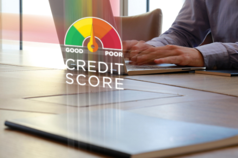 Business Credit Score